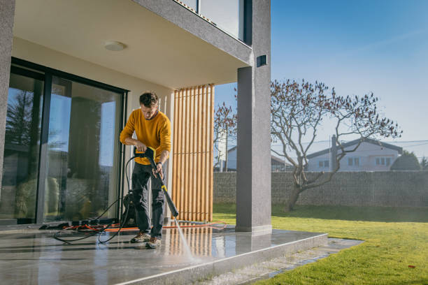 Best Graffiti Removal  in Lake Shore, WA